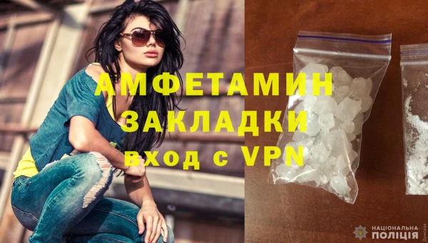 прущие грибы Зерноград