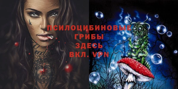 ешки Зеленокумск