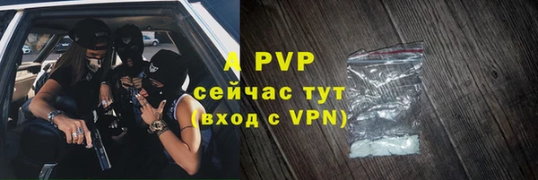прущие грибы Зерноград